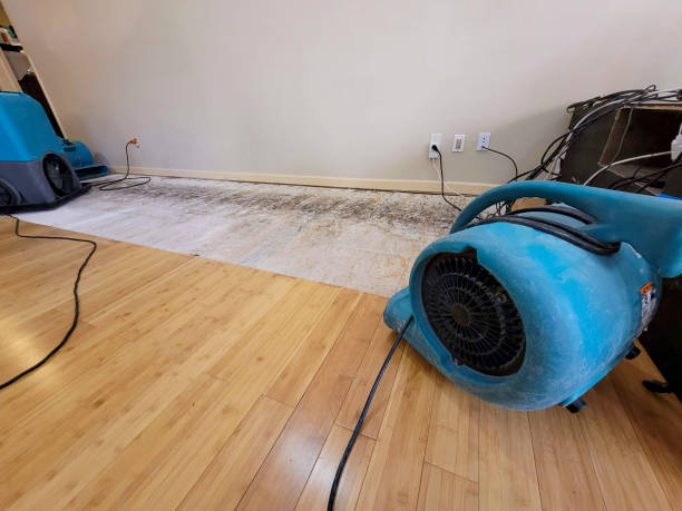 Professional Emergency Water Damage technician working in Middleport, PA